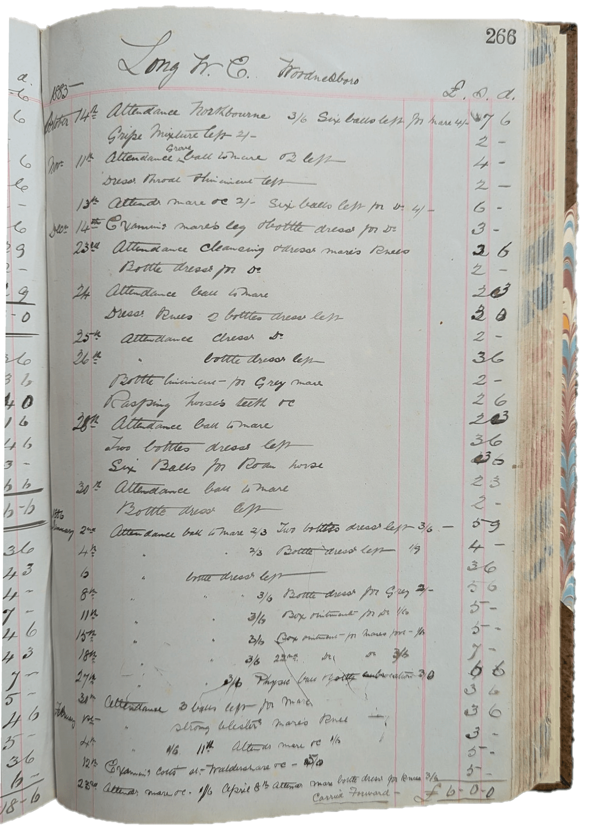 Ash Ledger Details 1886